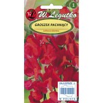 Groszek pachnący - czerwony