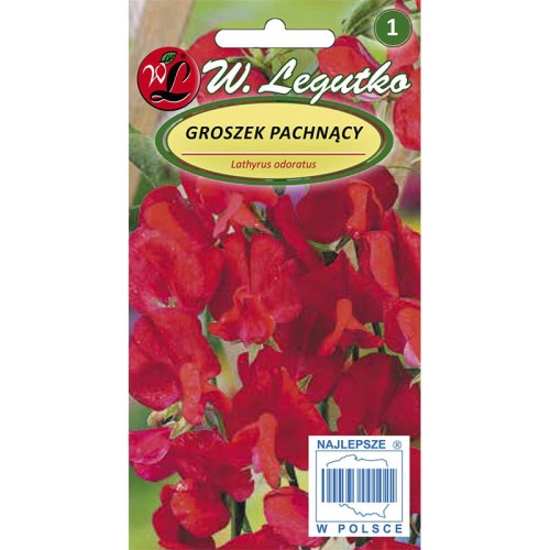 Groszek pachnący - czerwony