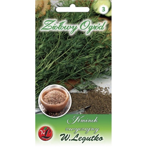 Kminek zwyczajny - Rekord