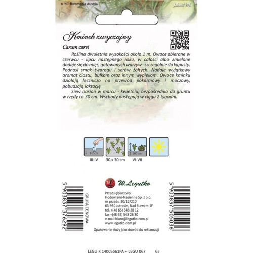 Kminek zwyczajny - Rekord