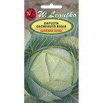 Kapusta głowiasta biała - Kamienna Głowa