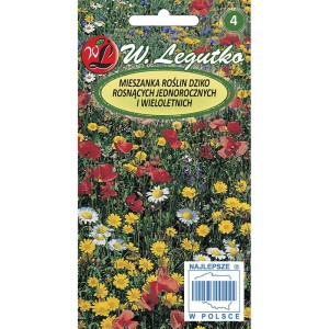 Mieszanka roślin dziko rosnących