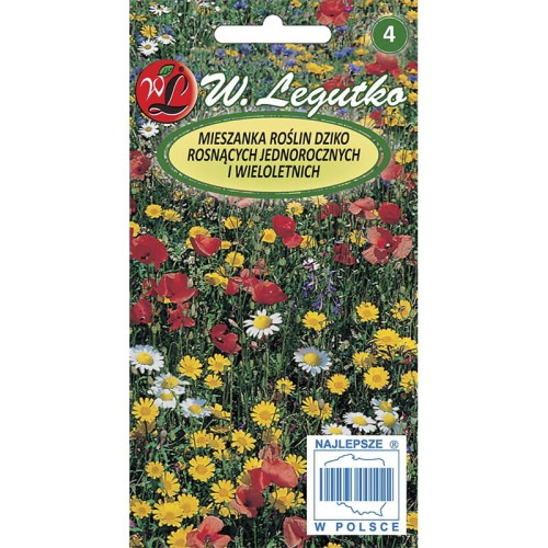Mieszanka roślin dziko rosnących