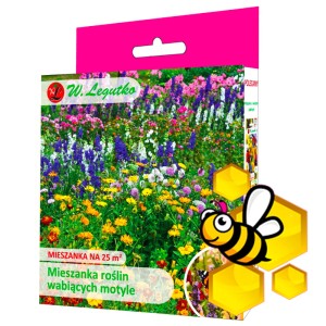 Mieszanka roślin wabiących motyle