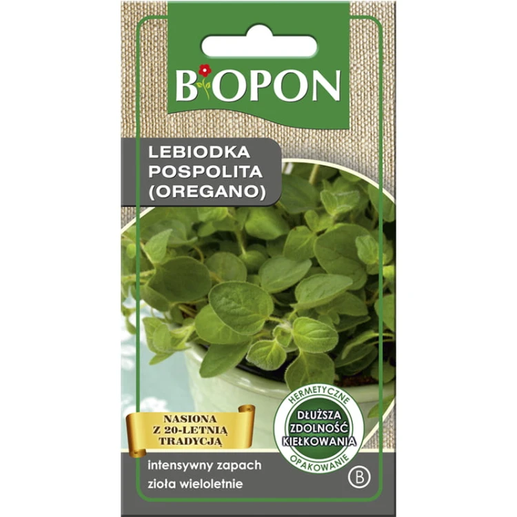 Lebiodka pospolita (oregano) - nasiona