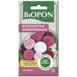 Stokrotka pomponowa - nasiona
