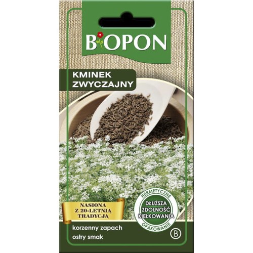 Kminek zwyczajny - nasiona