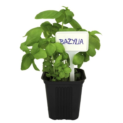 Tabliczki plastikowe do opisywania roślin