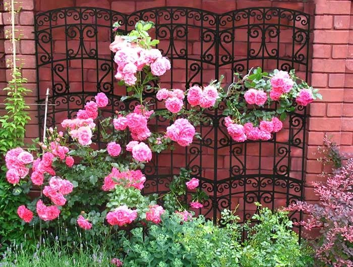 Pergola Antico