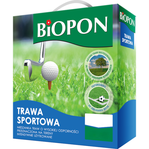 Trawa sportowa - nasiona