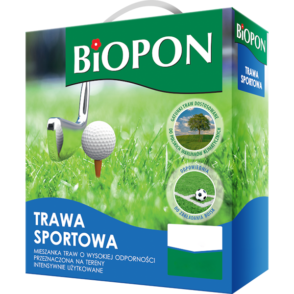 Trawa sportowa - nasiona