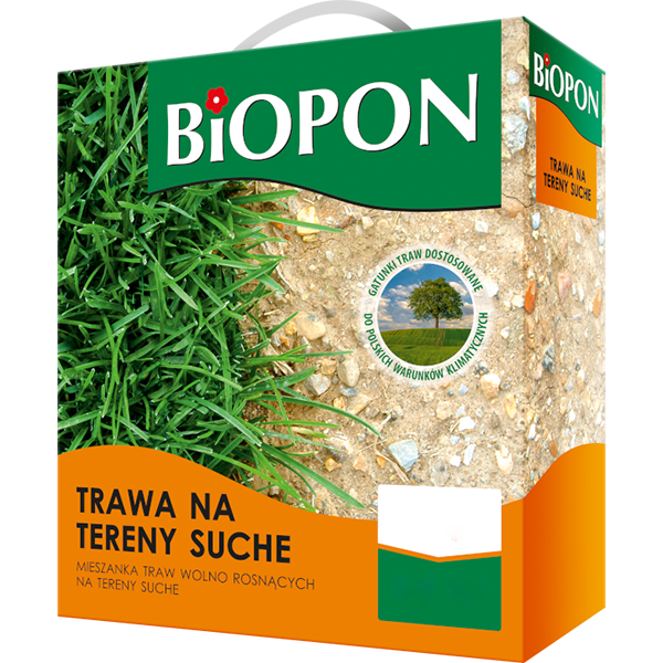 Trawa na teresy suche - nasiona