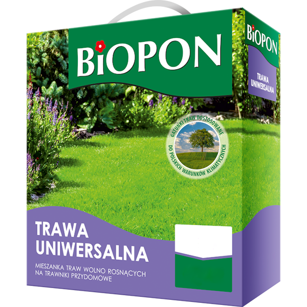 Trawa uniwersalna - nasiona