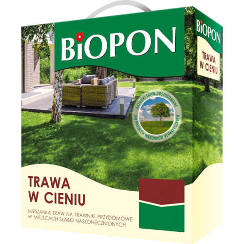 Trawa w cieniu
