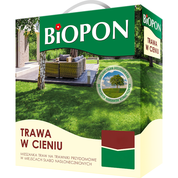 Trawa w cieniu