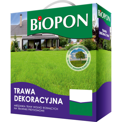 Trawa dekoracyjna - nasiona