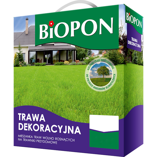 Trawa dekoracyjna - nasiona
