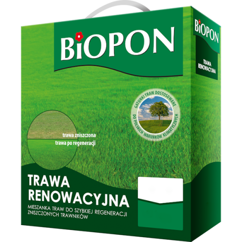 Trawa renowacyjna