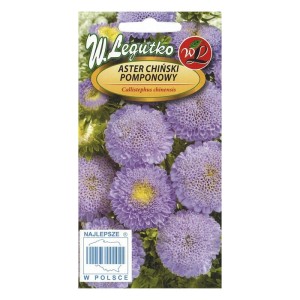 Aster chiński pomponowy - jasnoniebieski