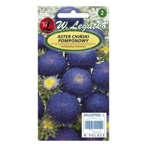 Aster chiński pomponowy - ciemnoniebieski