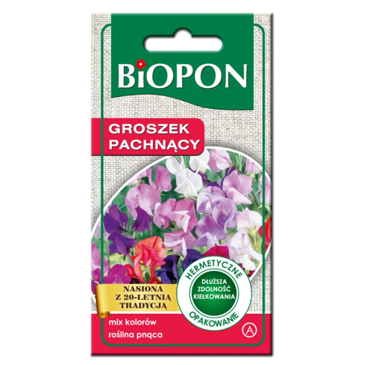 Groszek pachnący mix kolorów - nasiona