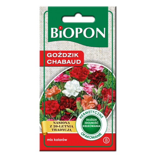 Goździk Chabaud mix kolorów - nasiona