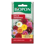 Dalia zmienna mix kolorów - nasiona 