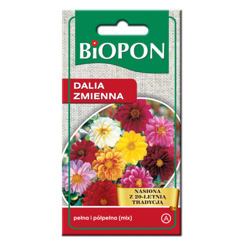 Dalia zmienna mix kolorów - nasiona