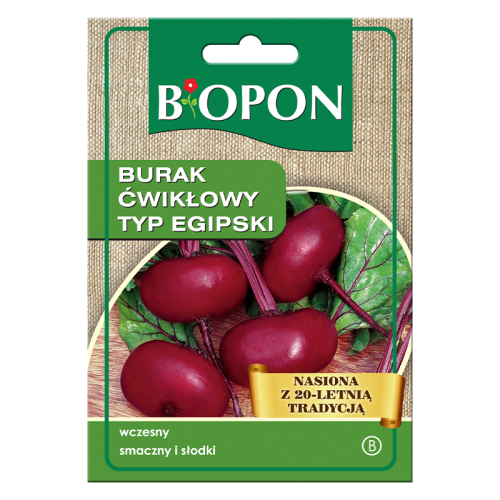 Burak ćwikłowy Typ Egipski - nasiona