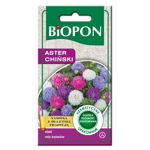 Aster chiński karłowy nasiona
