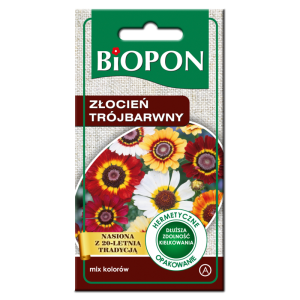 Złocień trójbarwny mix kolorów - nasiona