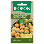 Pomidor żółty koktajlowy nasiona
