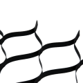 geokrata 2,5 1.png