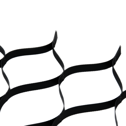 geokrata 2,5 1.png