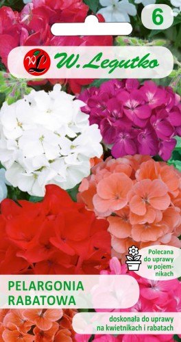 Pelargonia rabatowa F2 mieszanka