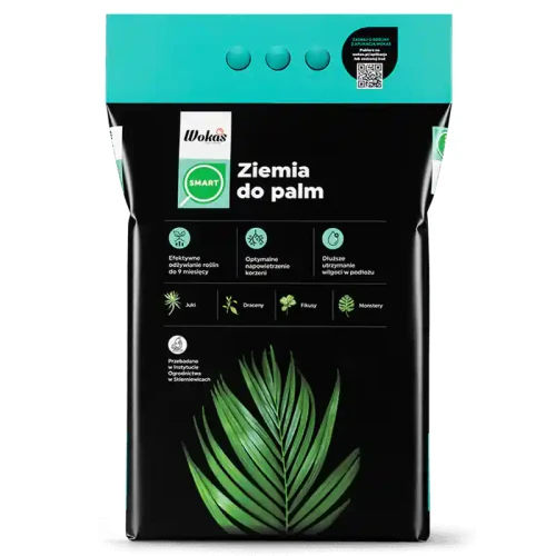 Ziemia do palm