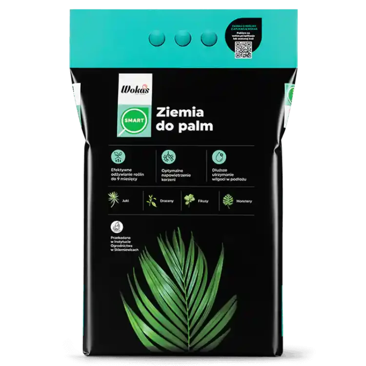 Ziemia do palm