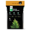 Ziemia do paproci 5ltr