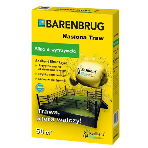 Trawa samozagęszczająca Barenbrug Resilient Blue Lawn