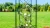 Pergola Metalowa Classic 150x40x255cm