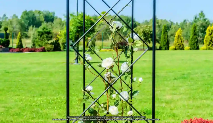 Pergola Metalowa Classic 150x40x255cm