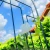 Pergola Metalowa Classic 150x40x255cm