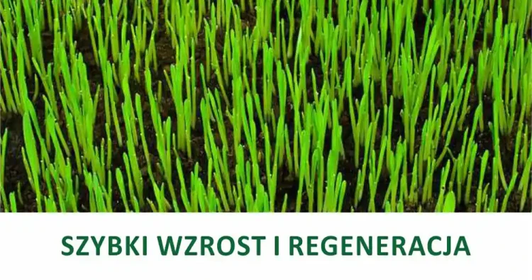 Nawóz do Trawników 5kg