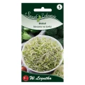Nasiona na kiełki - brokuł (10g)