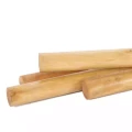 Tyczka ogrodowa lakierowana
