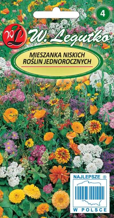 Mieszanka niskich roślin jednorocznych