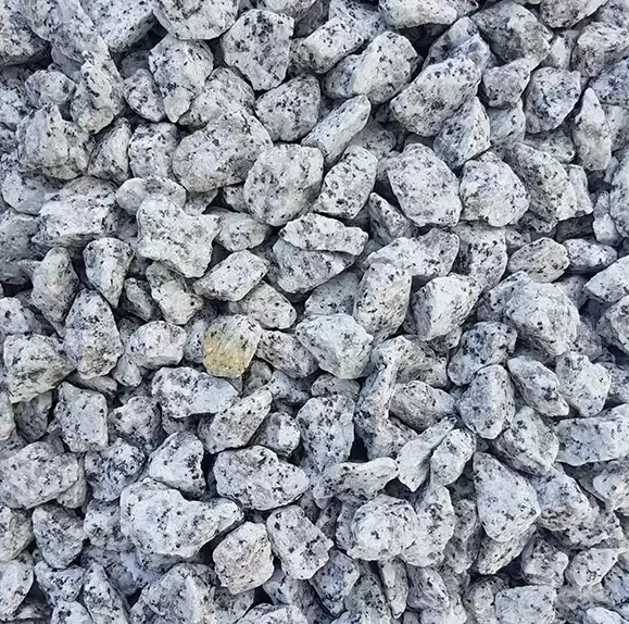 Grys granitowy Dalmatyńczyk