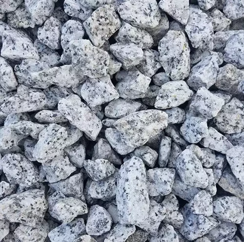 Grys granitowy Dalmatyńczyk