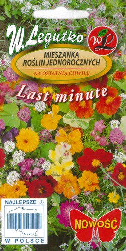 Mieszanka roślin na ostatnią chwilę