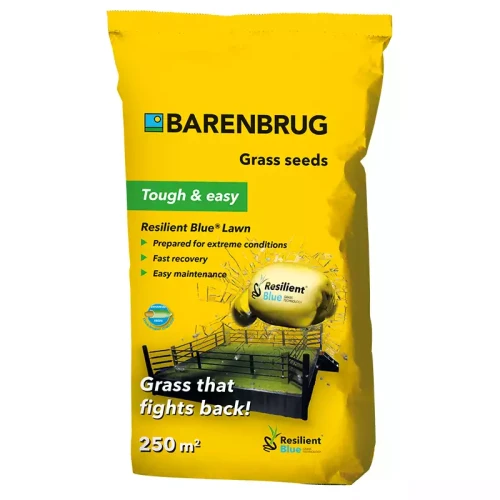 Nasiona Trawy BARENBRUG resilient blue 5kg
